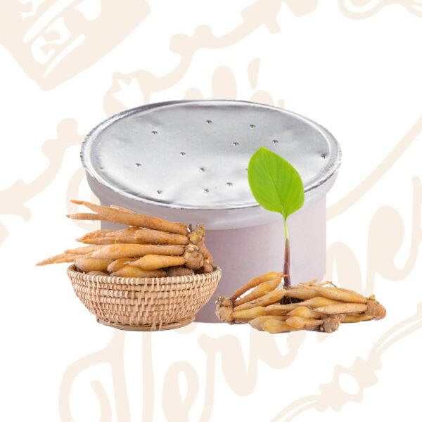 Solubili - Espresso Point - Ginseng